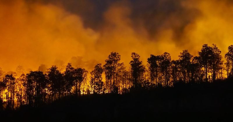 AiDash secures $50 million in funding for AI and satellite technology to detect wildfires